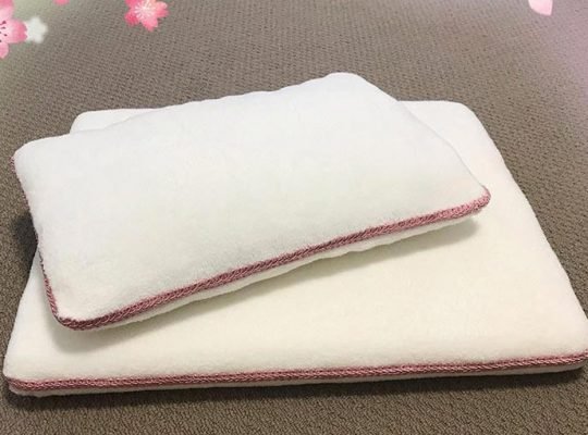 Medium Size Mattress and Pillow for Cats