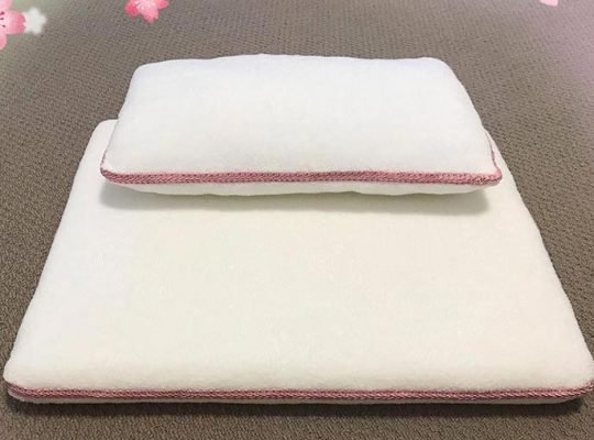 Medium Size Mattress and Pillow for Cats