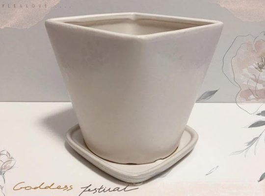 Ivory Flower Pot with Pattern