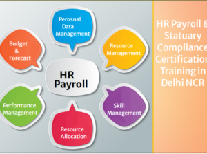 100% Placement in HR Course in Delhi, 110053,, wit