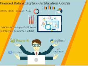 Data Analyst Course in Delhi SLA with Placement,