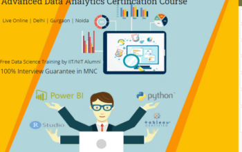 Data Analyst Course in Delhi SLA with Placement,