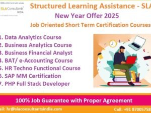 Best Business Analyst Training Course in Delhi,